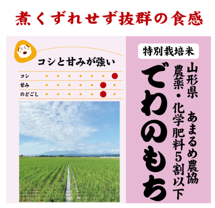 うるち米ともち米の違い｜特徴と使い分け方を解説│創業134年
