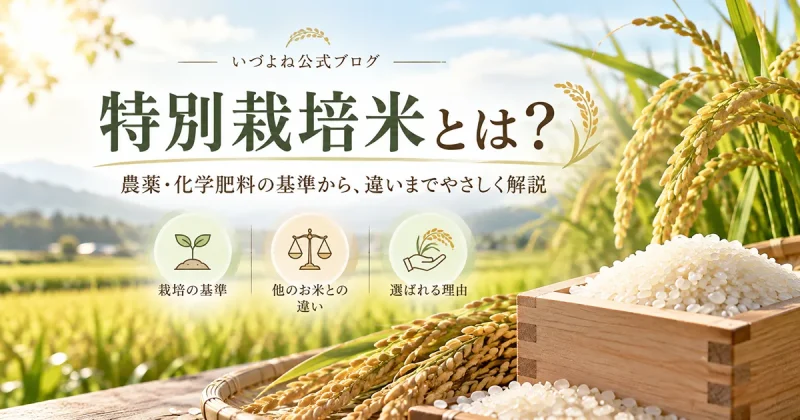 特別栽培米とは？農薬・化学肥料の基準から無農薬・有機栽培との違いまで米屋が解説
