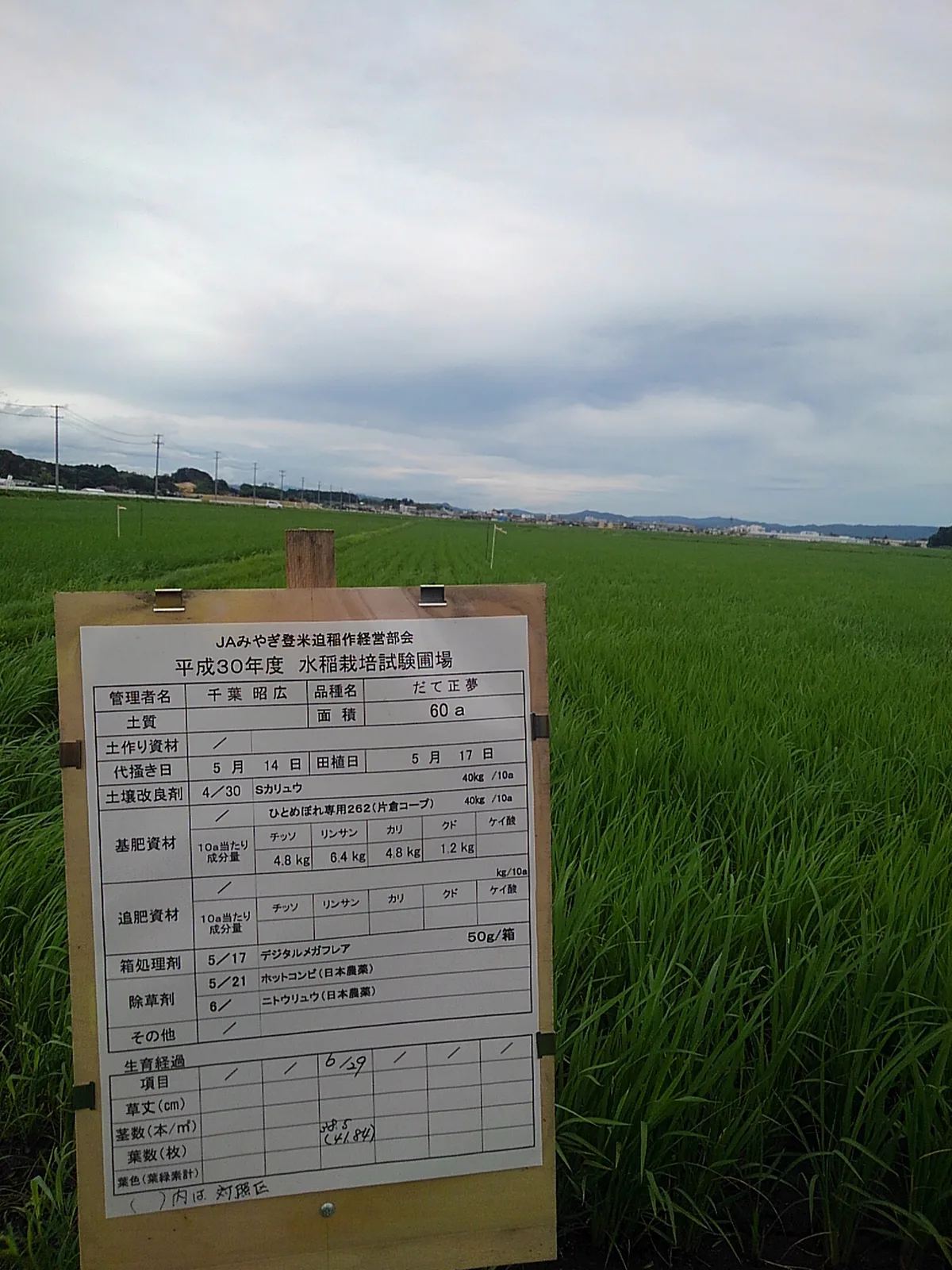 登米