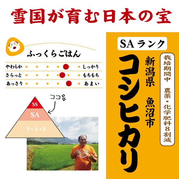 7年産 新潟 魚沼コシヒカリ SAランク