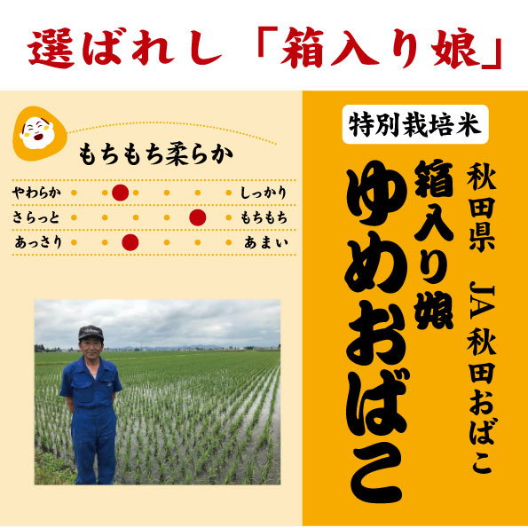 【特別栽培米】令和7年産 秋田県産 ゆめおばこ『箱入り娘』