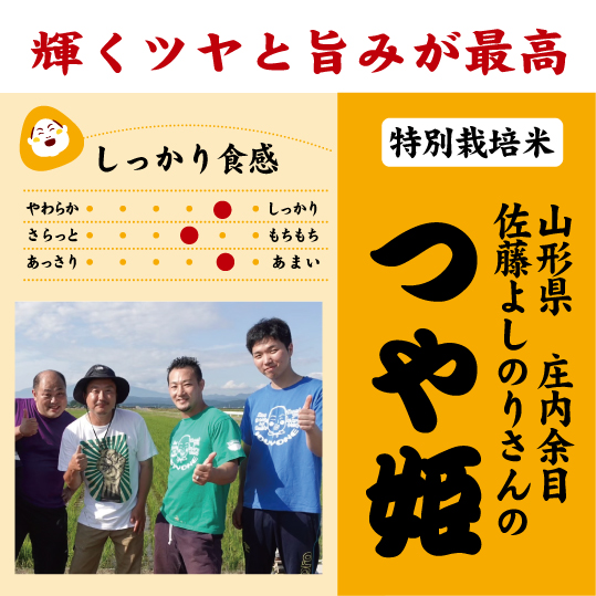 7年産 山形 庄内余目 特別栽培 つヤ姫