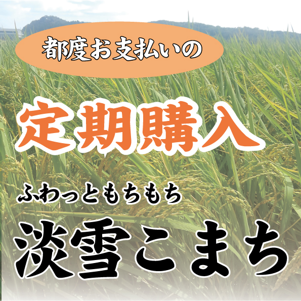 定期便 玄米食おすすめプラン
