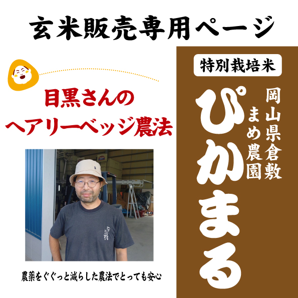 7年産 岡山 ぴかまる 玄米