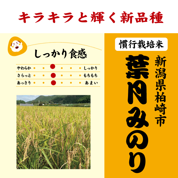 7年産 新潟県 柏崎市産 葉月みのり