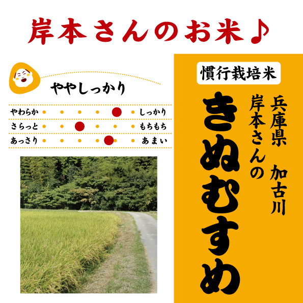 兵庫加古川きぬむすめ