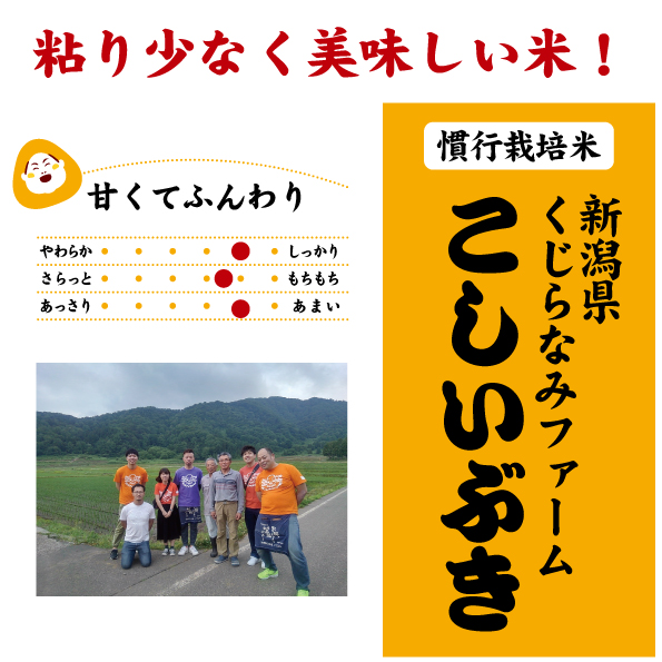 7年産 新潟県 ファームくじらなみ こしいぶき