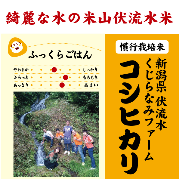 7年産 新潟県ファームくじらなみ 米山伏流水米コシヒカリ