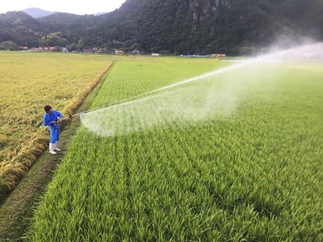 7年産 島根・隠岐特選きぬむすめ