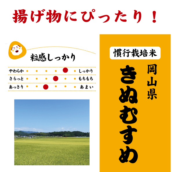 7年産 岡山県産 里海米きぬむすめ