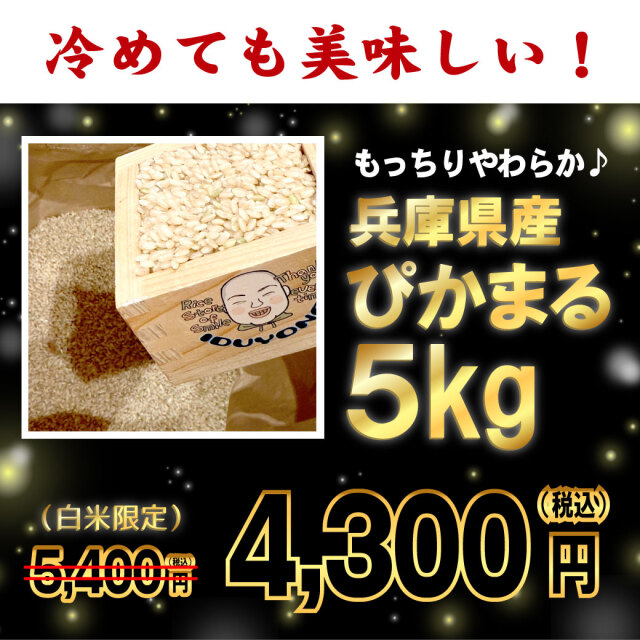 令和7年産 兵庫県産ぴかまる 白米5kg