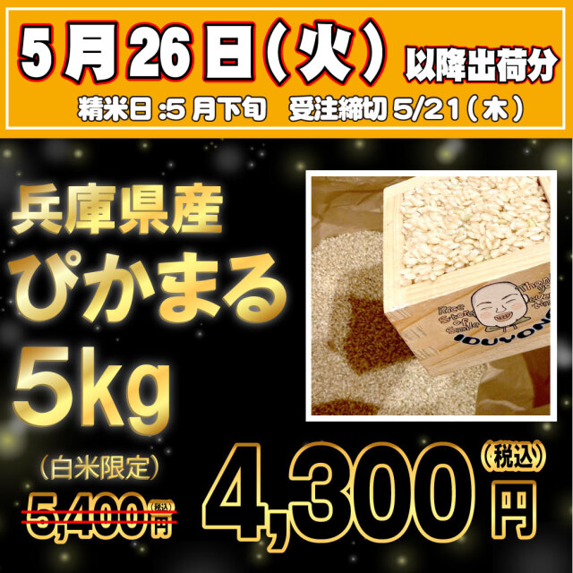 【5/26出荷・5/21受注締切】令和7年産 兵庫県産ぴかまる 白米5kg