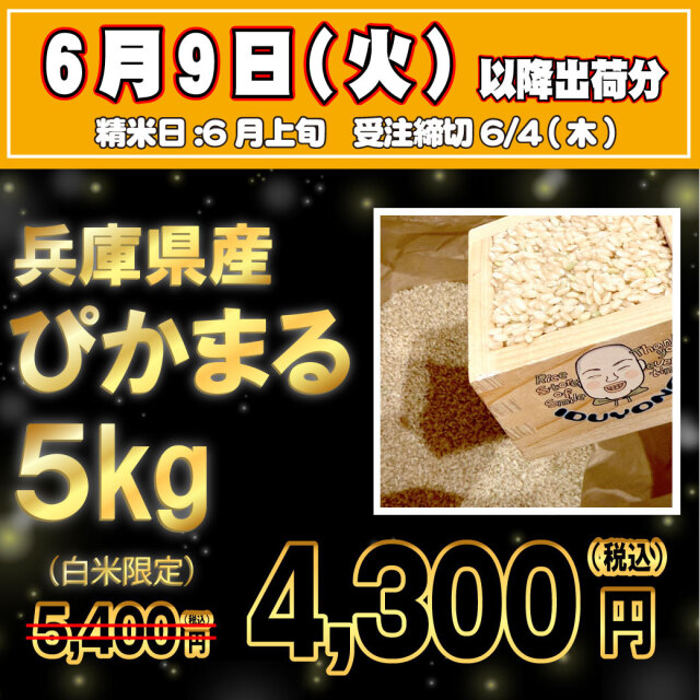 【6/9出荷・6/4受注締切】令和7年産 兵庫県産ぴかまる 白米5kg