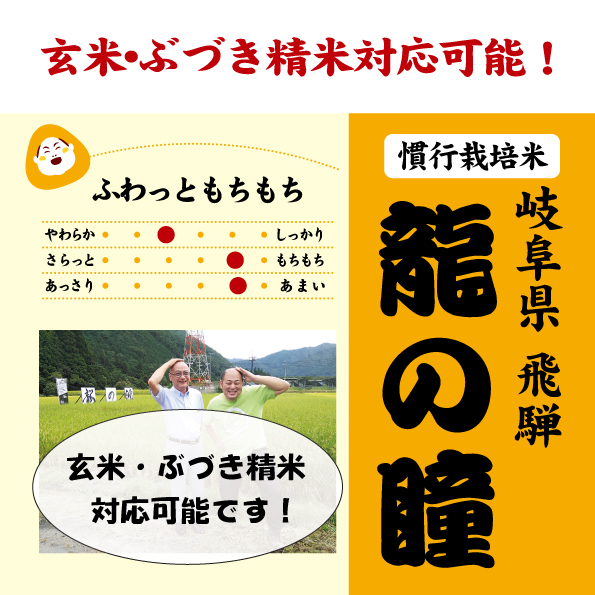 龍の瞳