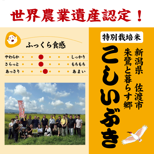7年産 新潟佐渡島 朱鷺と暮らす郷 こしいぶき