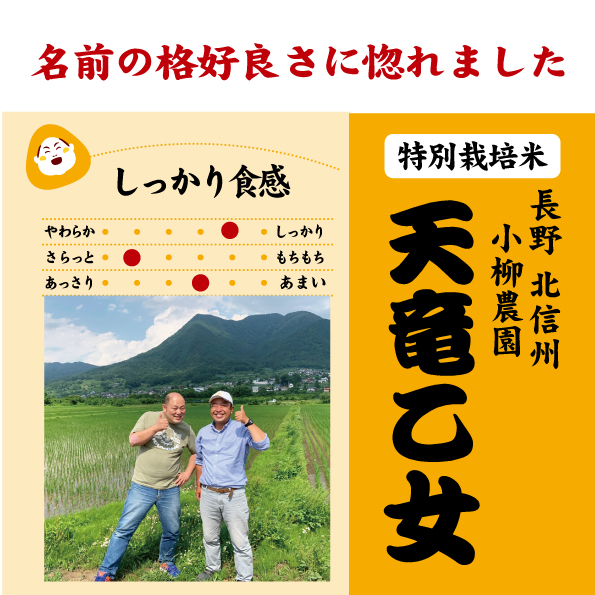 7年産 長野 天竜乙女 特別栽培米