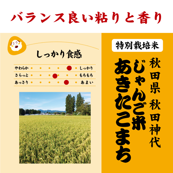 7年産 秋田県 じゃんご米あきたこまち 特別栽培米